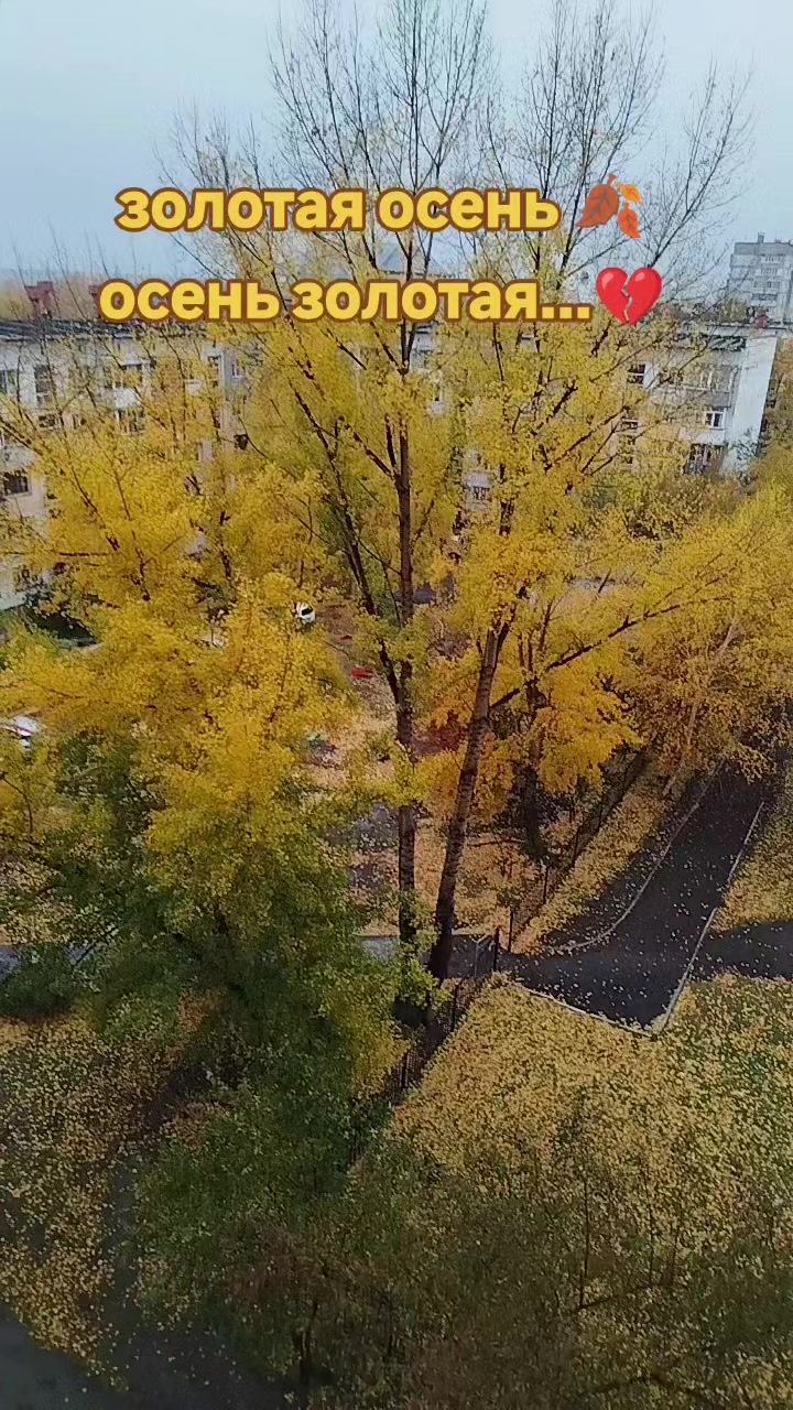 @Галчонок