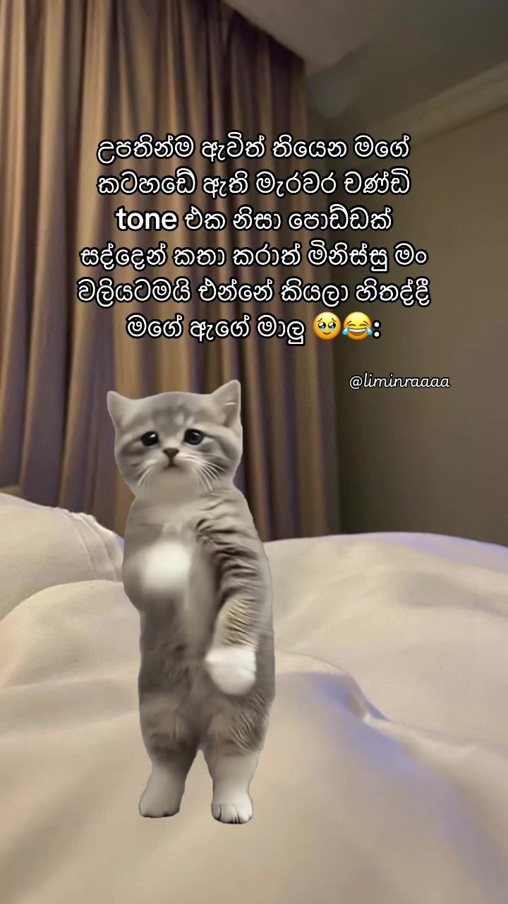 @Lisumi Jayawardana