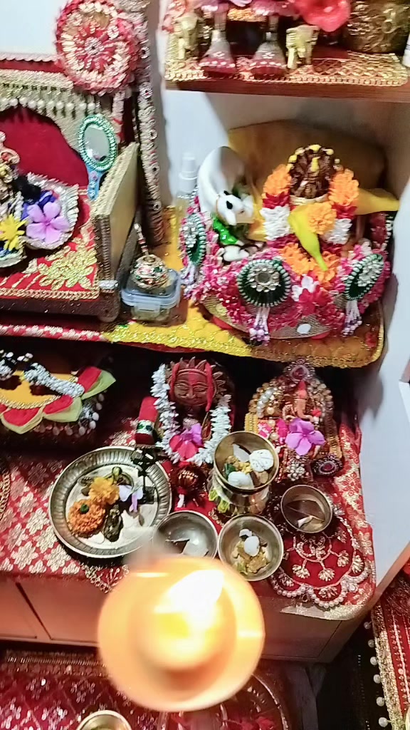 @Anjani Thakur🌻🌻
