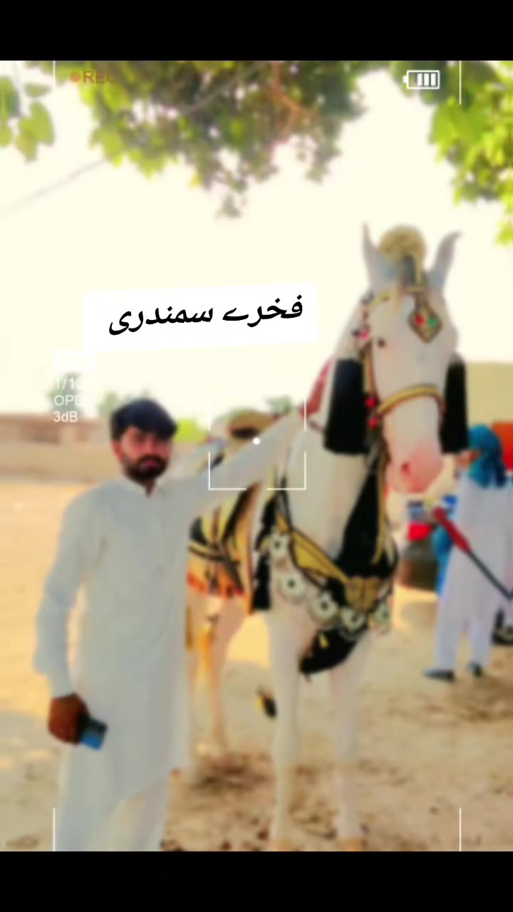 @ch❤️شانی gujjar 🖤