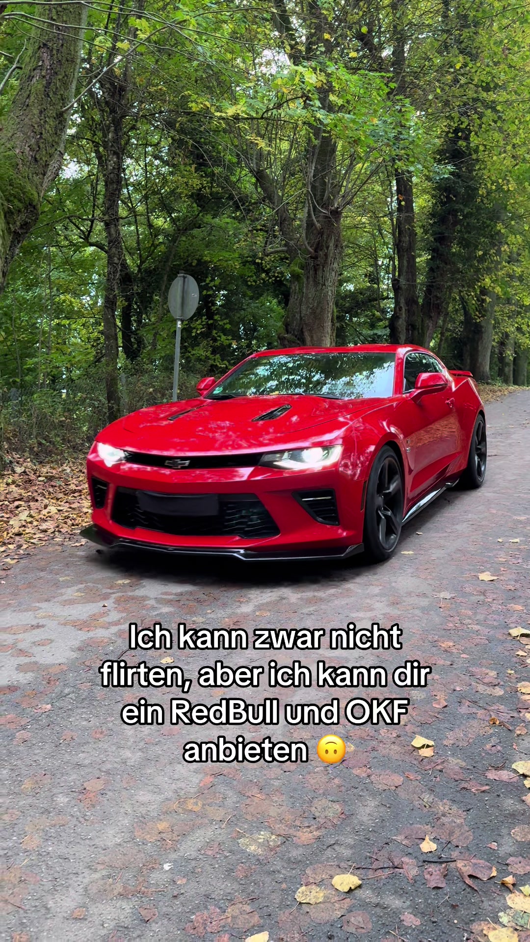 @Schl&ouml;sser