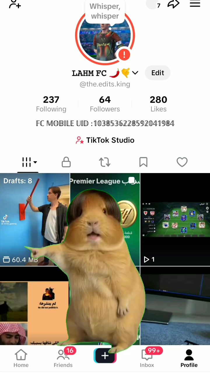 @ᴋɪɴɢꜰɪꜰᴀ 🕸️🌶️⚽