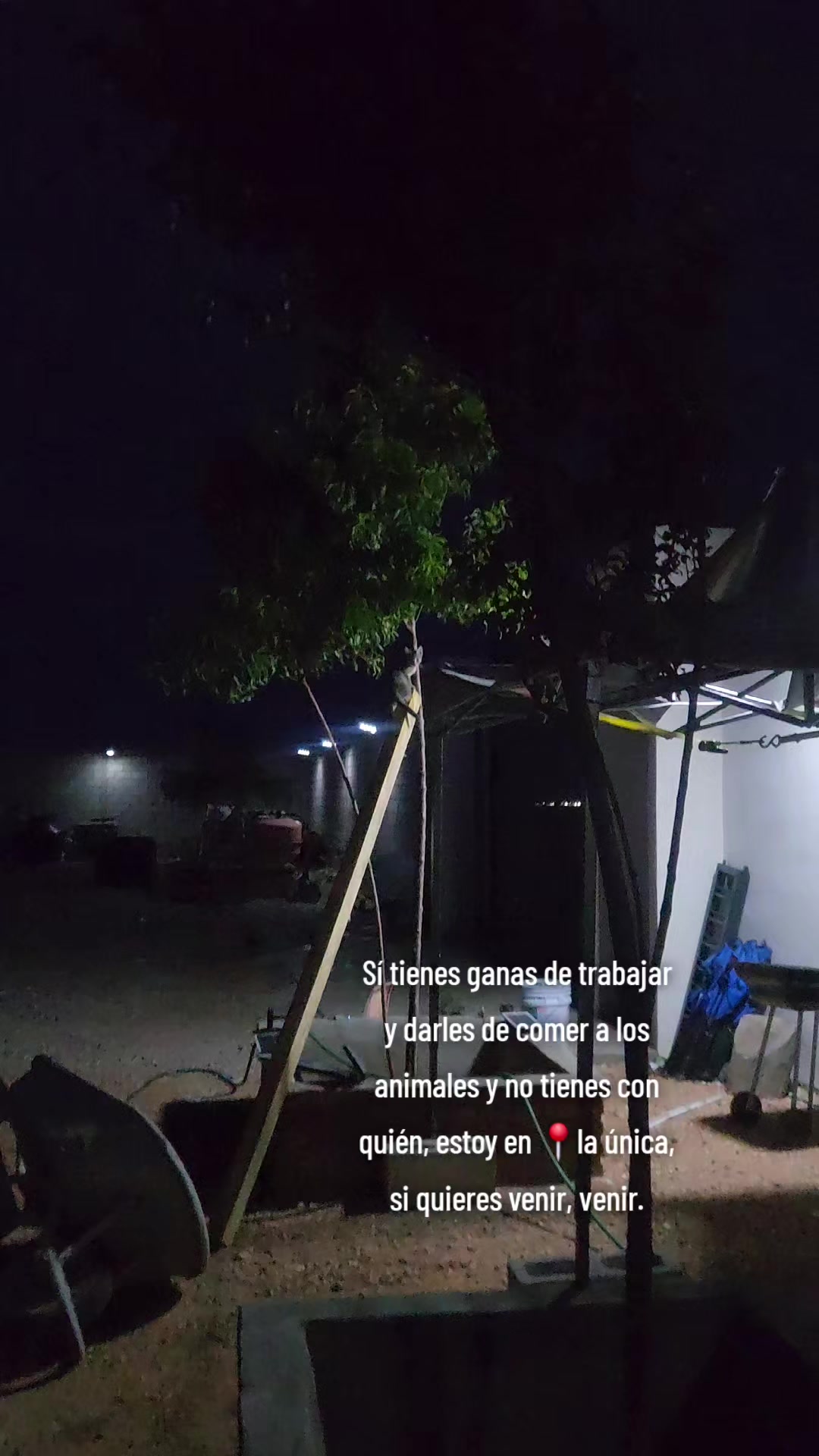 @El De La 450 Negra