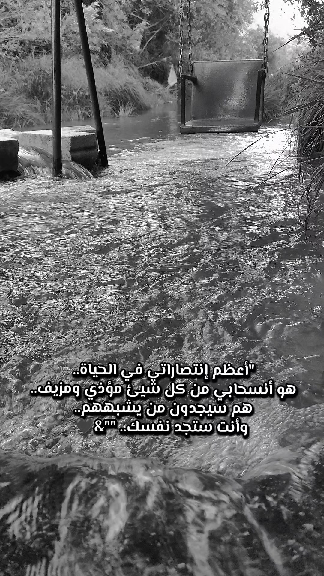 @🌸 زهرة النرجس🌸