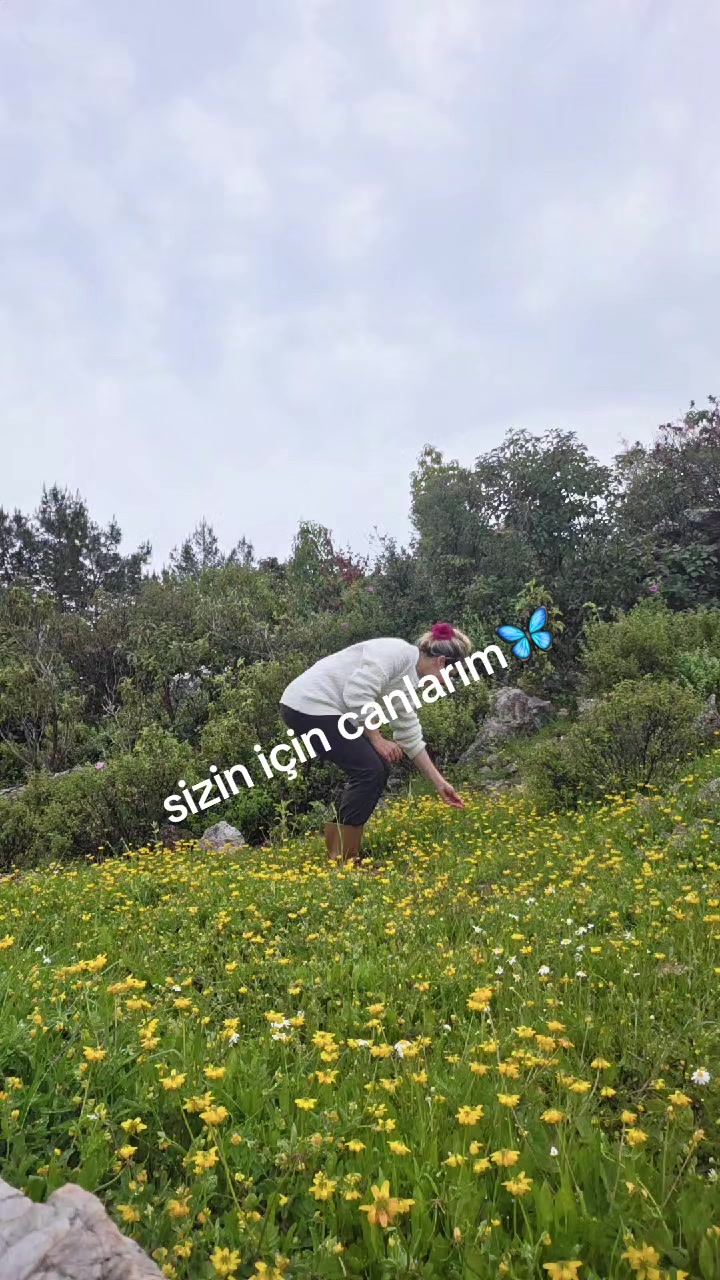 @örgü_sanatı