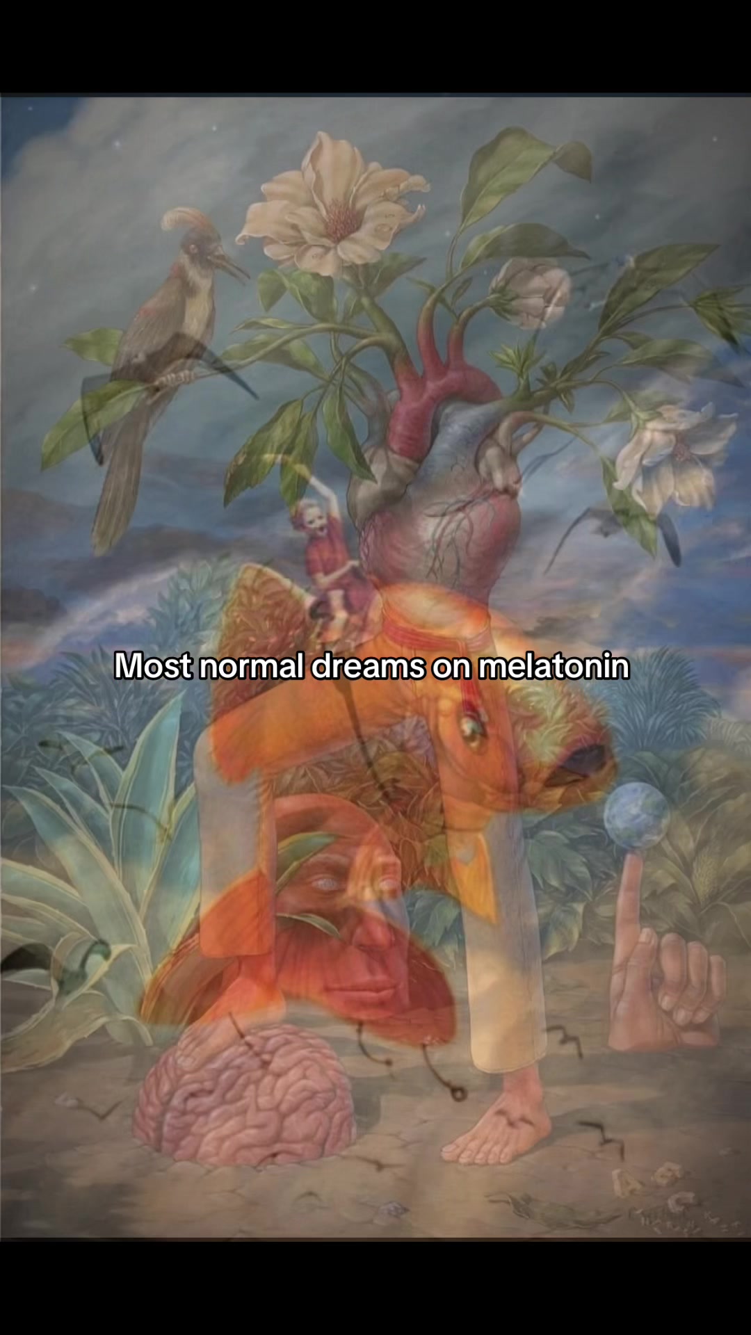 @🦑🐇˚꩜｡Fₗₑₐ ˚꩜｡🦑🐇
