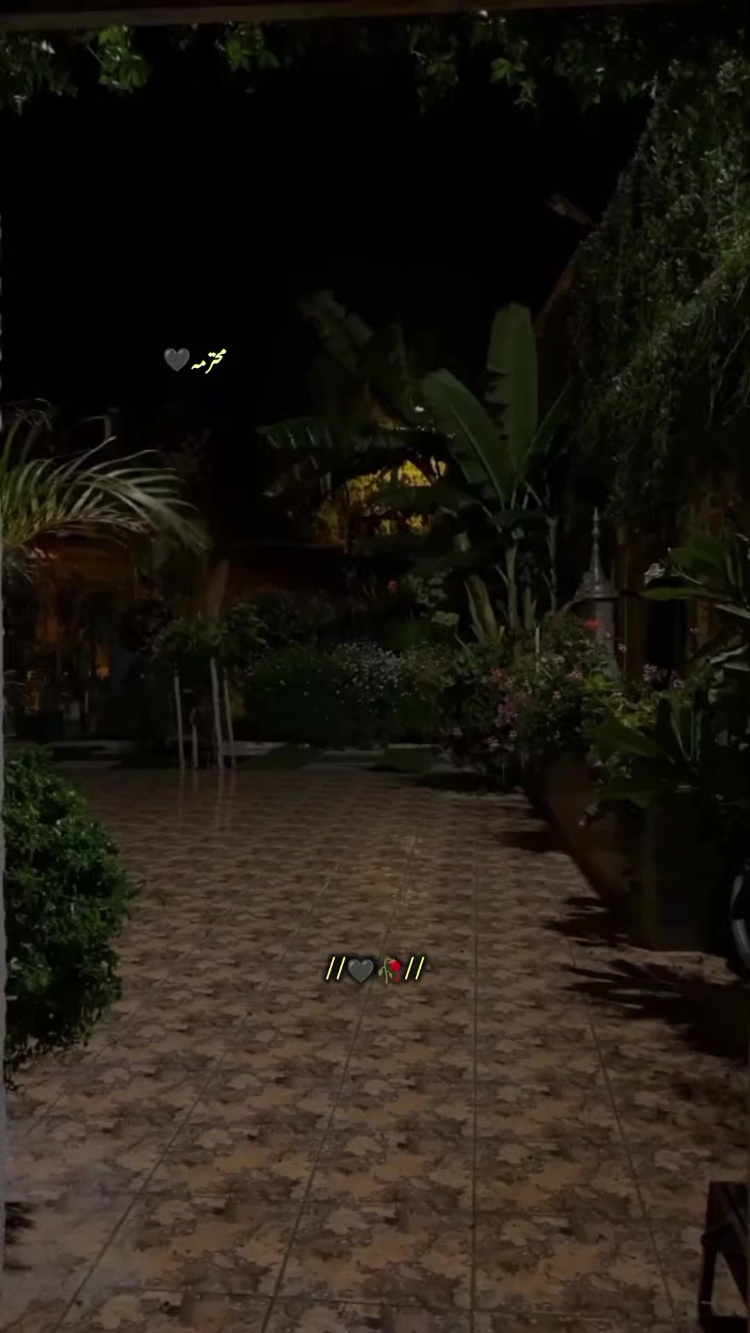 @محترمہ۔۔۔🖤