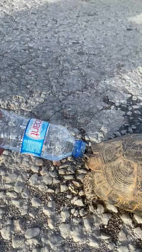 @Niyazi Akğ&uuml;neş