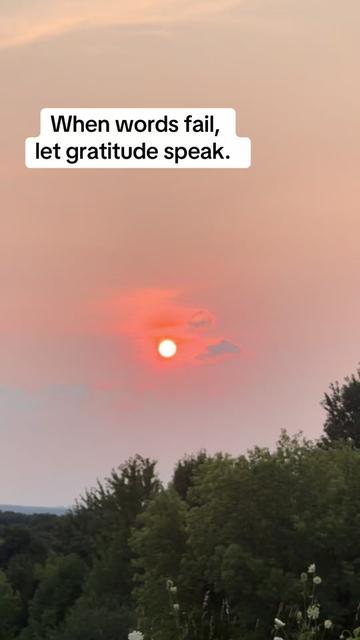 @Signature Veils