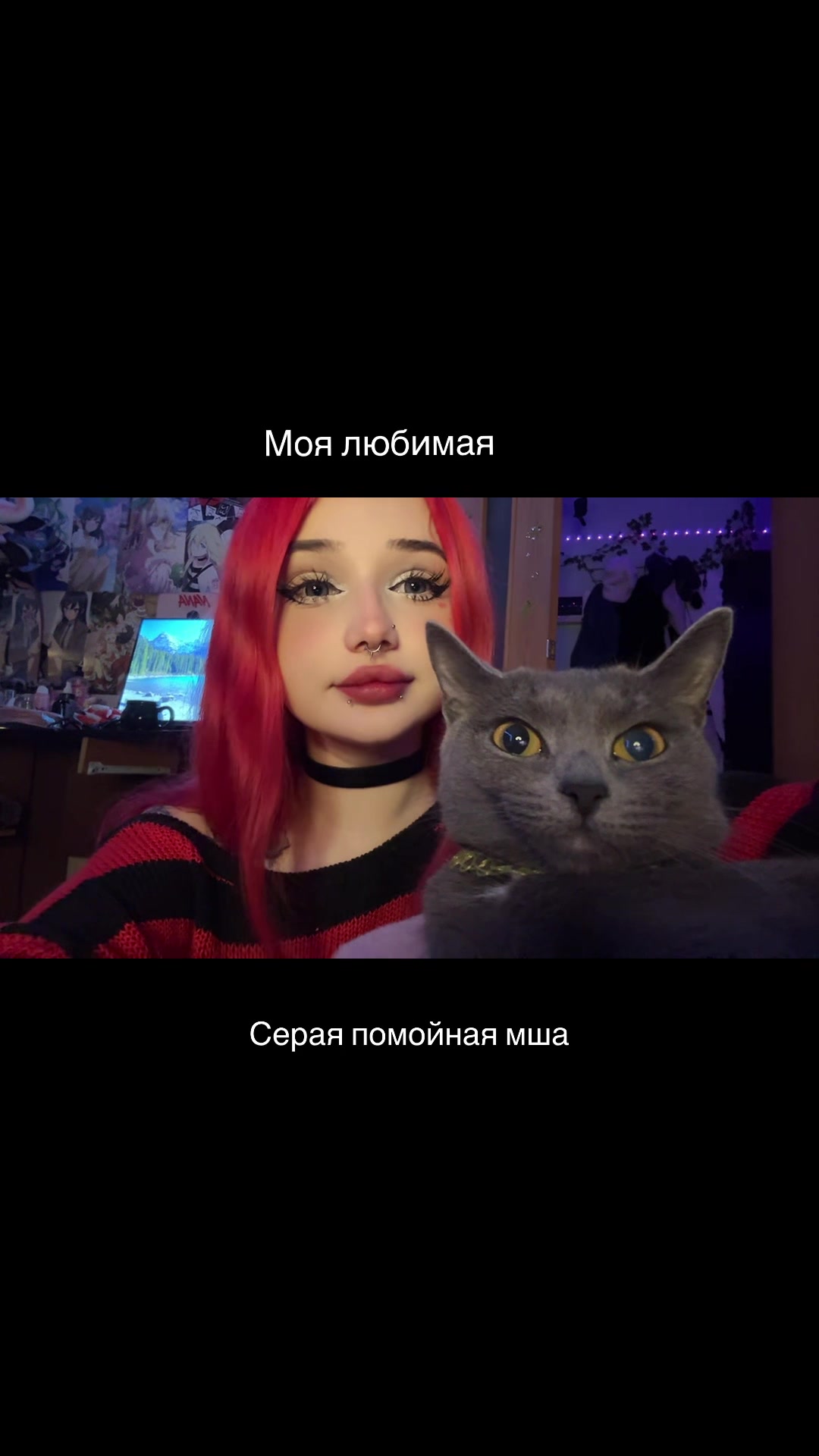 @тгк: BlackSun ее кошачьи будни