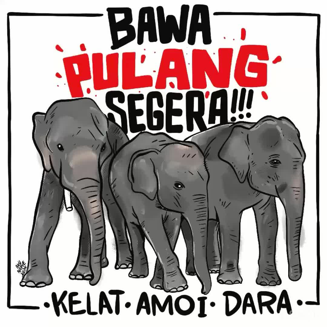 @Bujang Kartun🔵