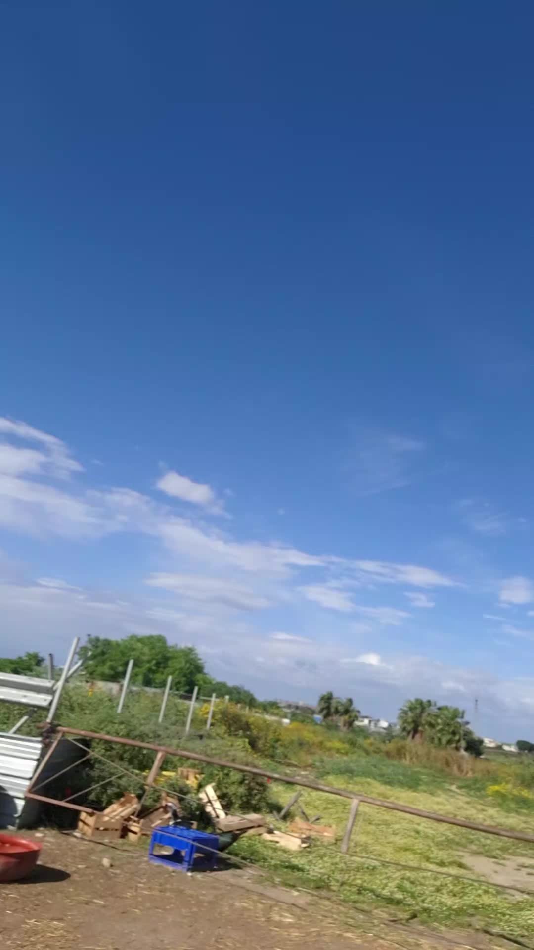 @Annamaria