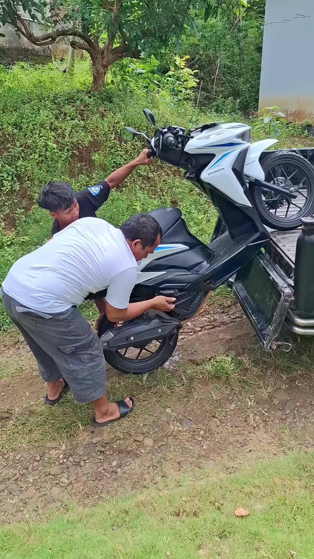 @Alia Motor