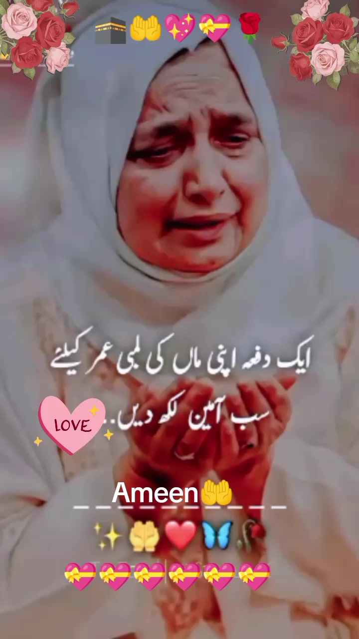 @Hassan Hussain💞