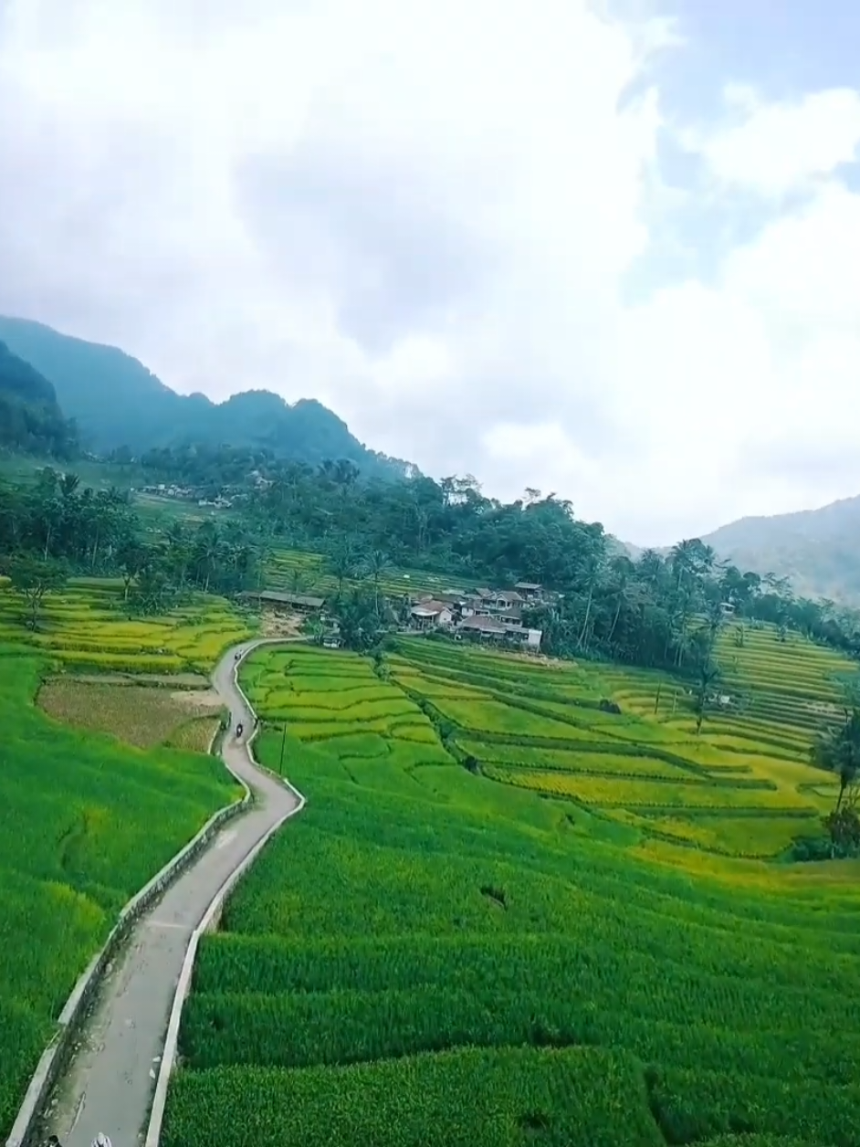 @R Andyka Sy (Pilot Centil)