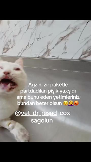@SAHİBSİZ-HEYVANLARA-DESTEK
