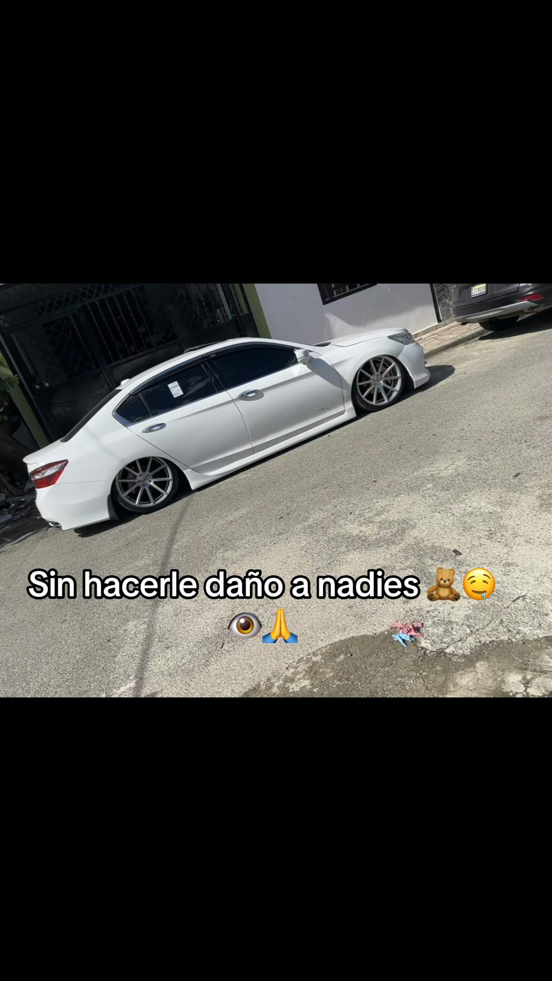 @pelofino.18
