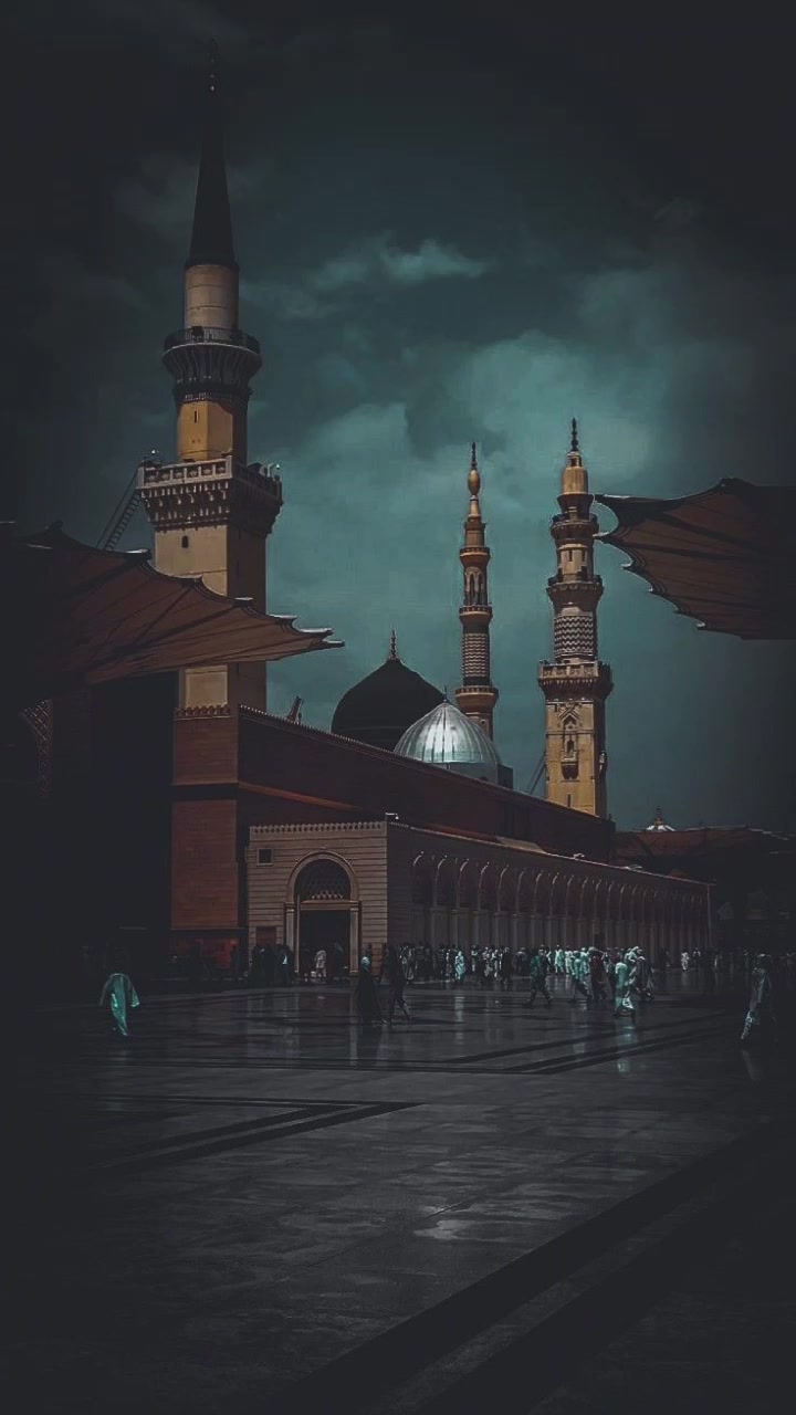 @❤️🦋🌻 تیری دیوانی 🌻🦋❤️