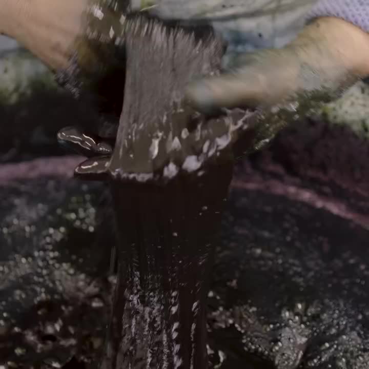 @๐ผ๐๐ท๐ณ ๐๐ฐ๐๐ท๐ธ๐ณ