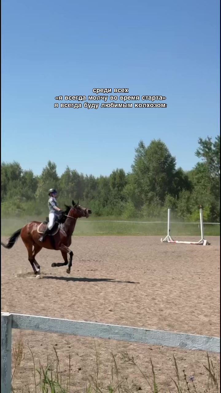 @сигма конник 🤫