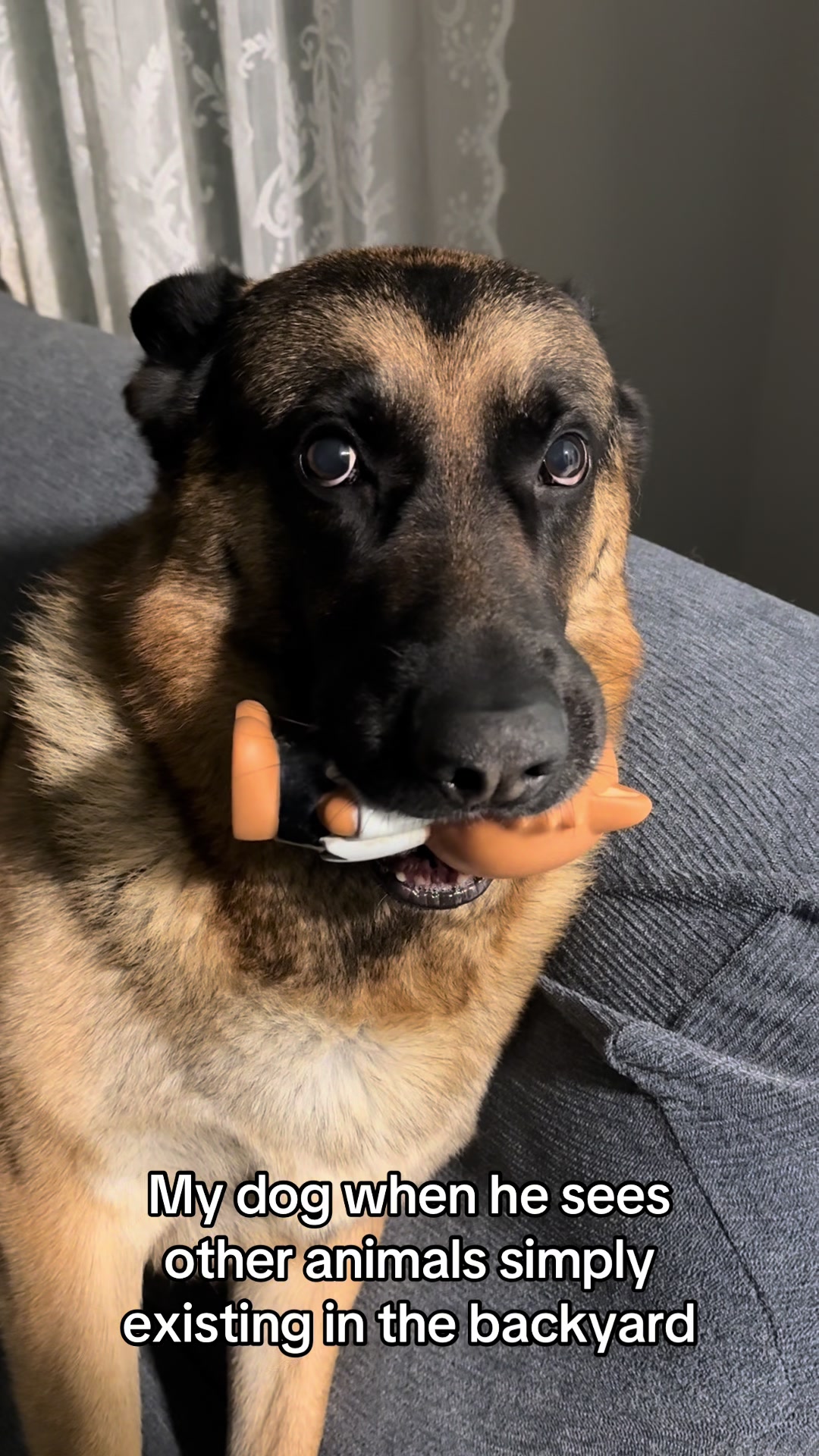 @Martygsd