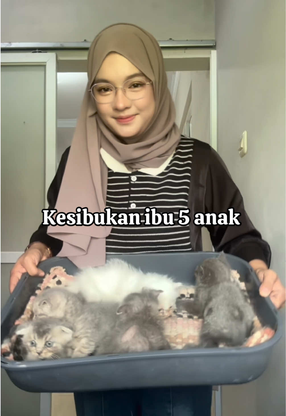 @FaenCattery