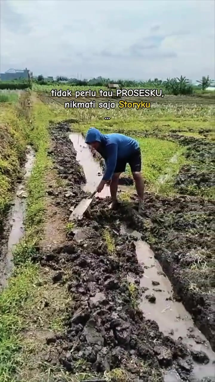 @konyel
