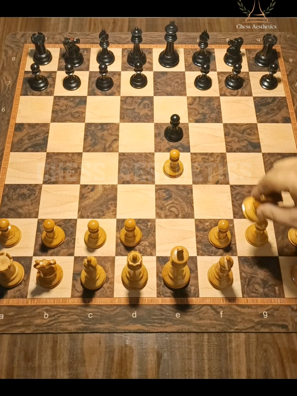 @Chess Aesthetics