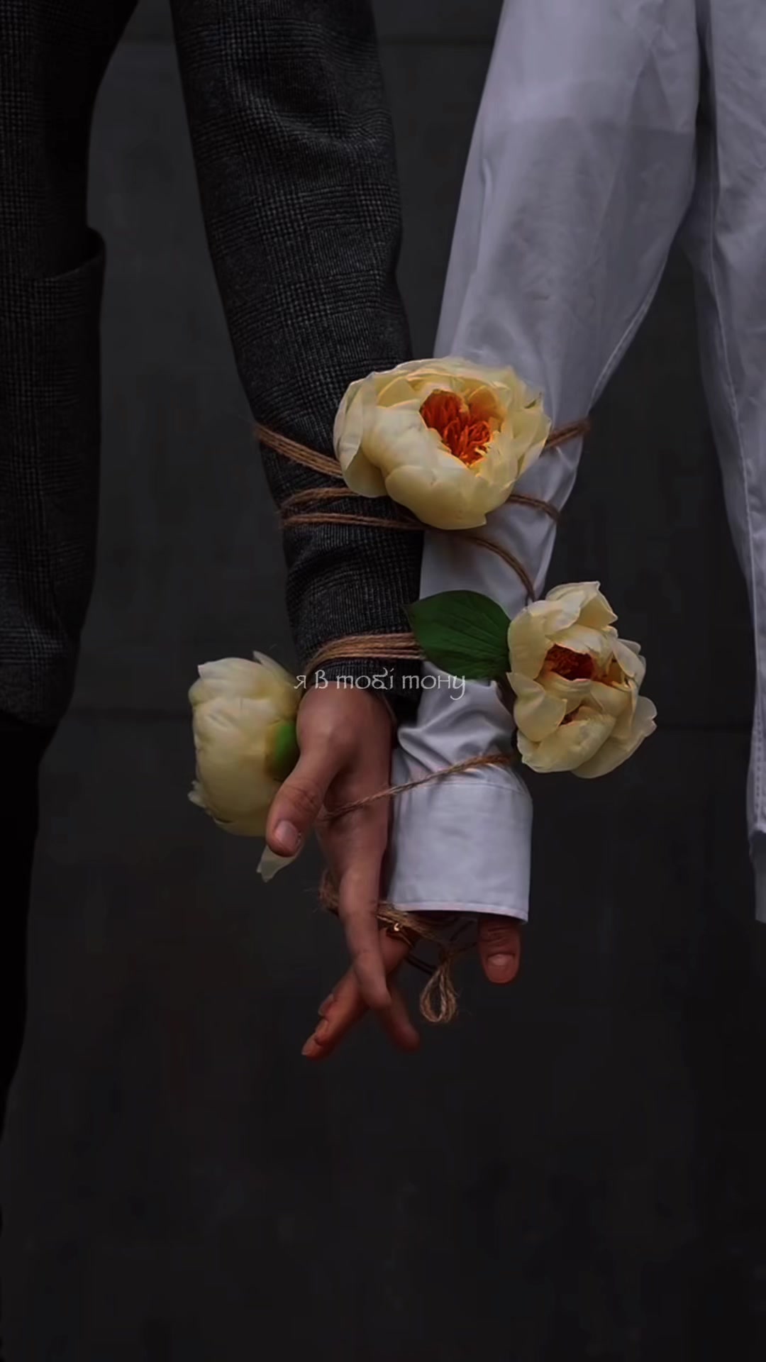 @𝐌𝐮𝐬𝐢𝐜𝐀𝐦𝐨𝐫
