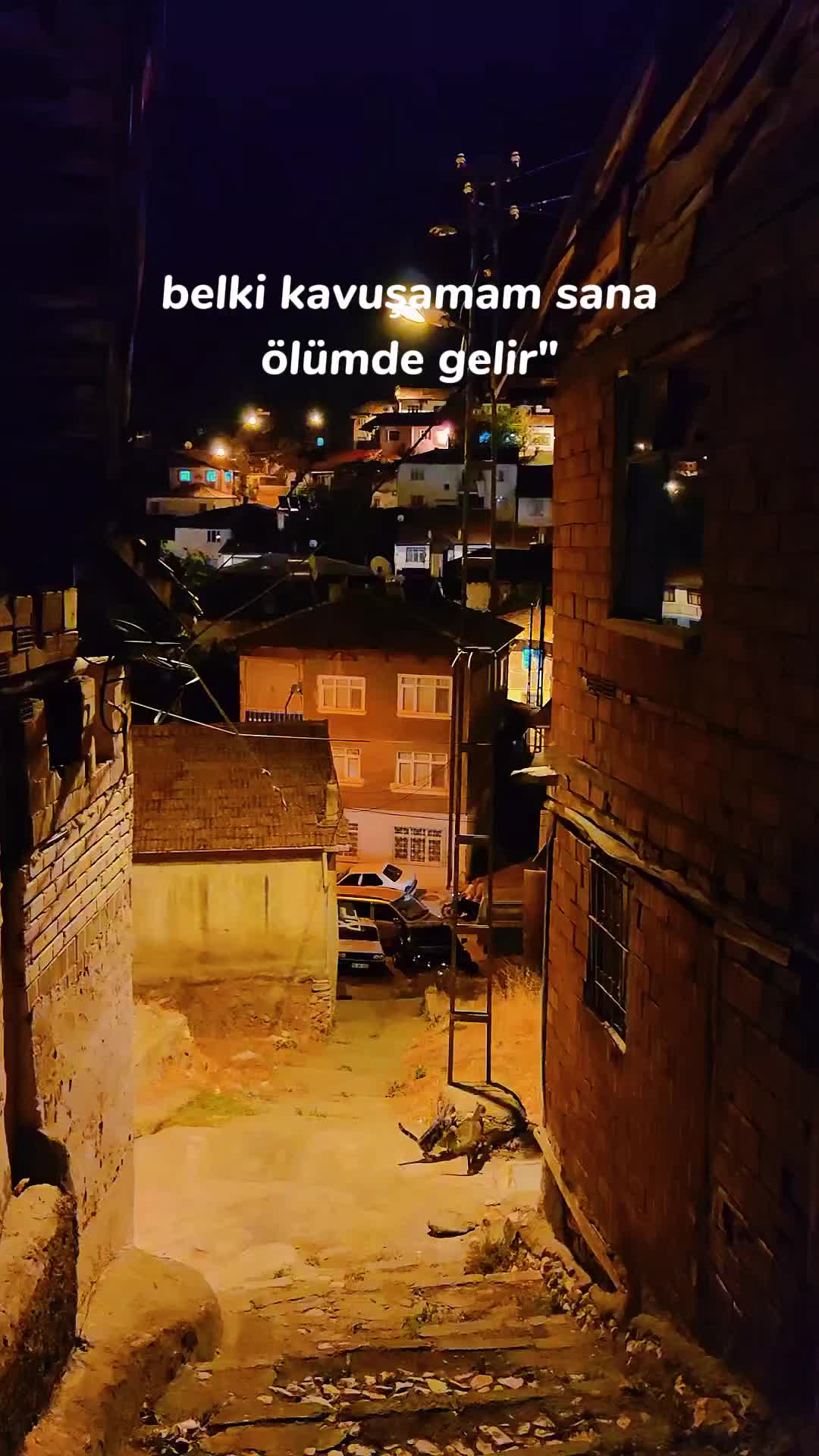 @m.aktas211
