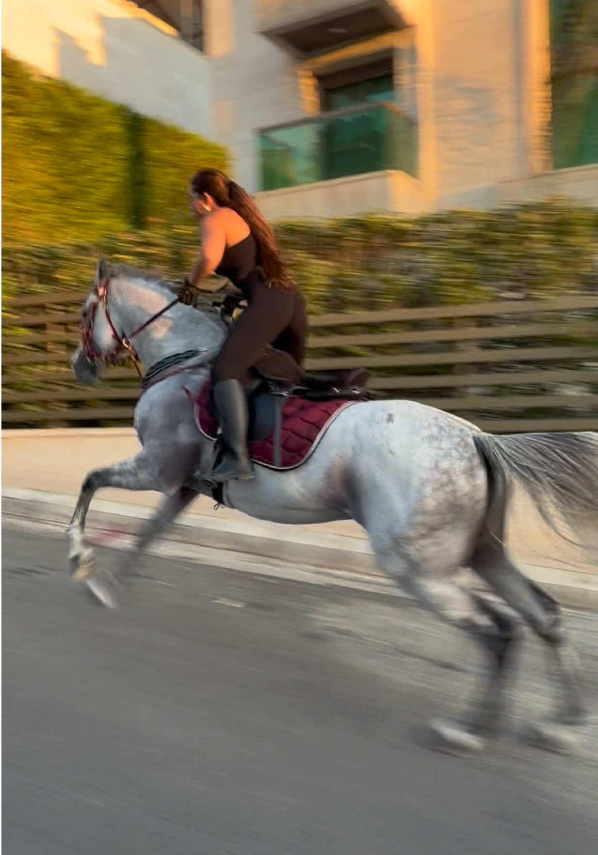 @لــيــن🐎