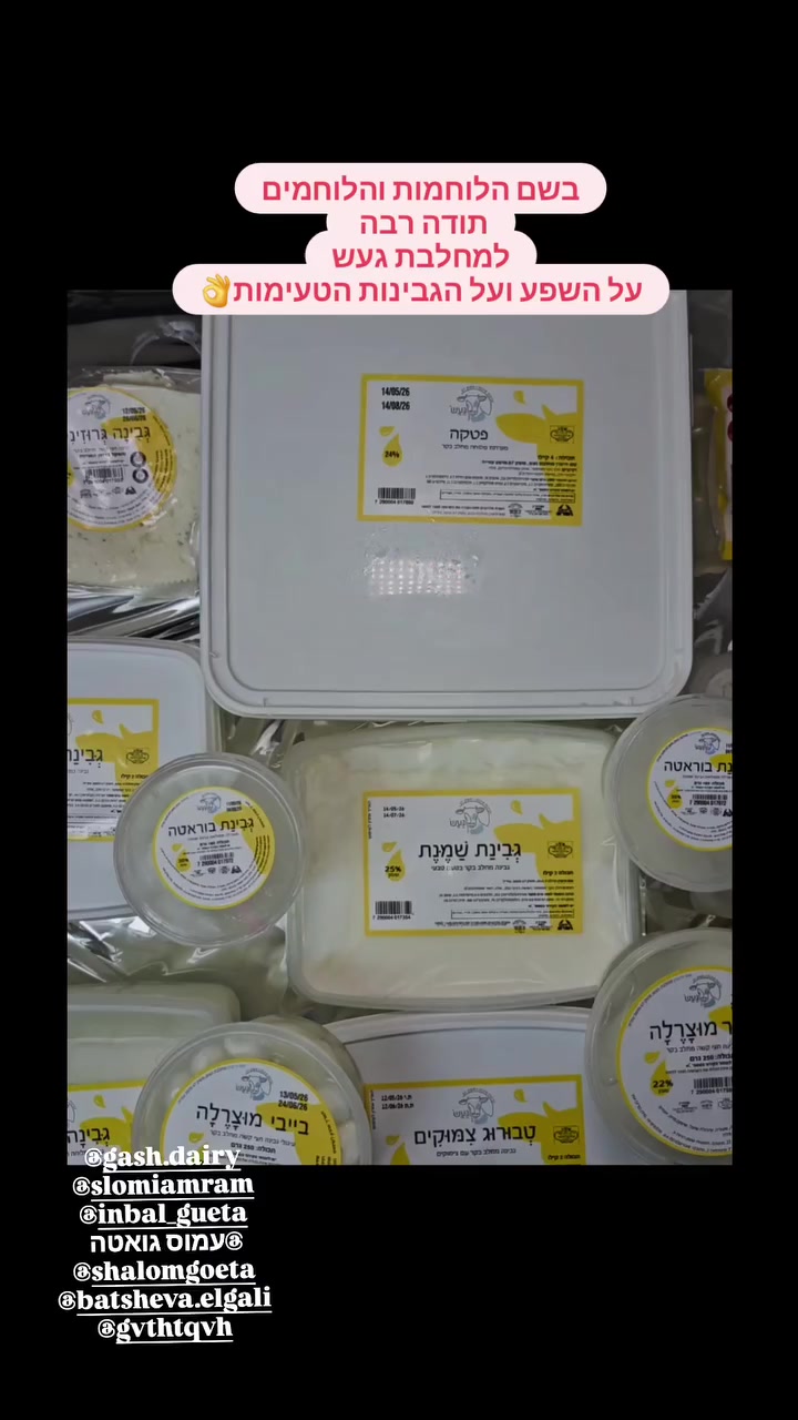 @טיקטוק_אהרון גרוס_חיילים