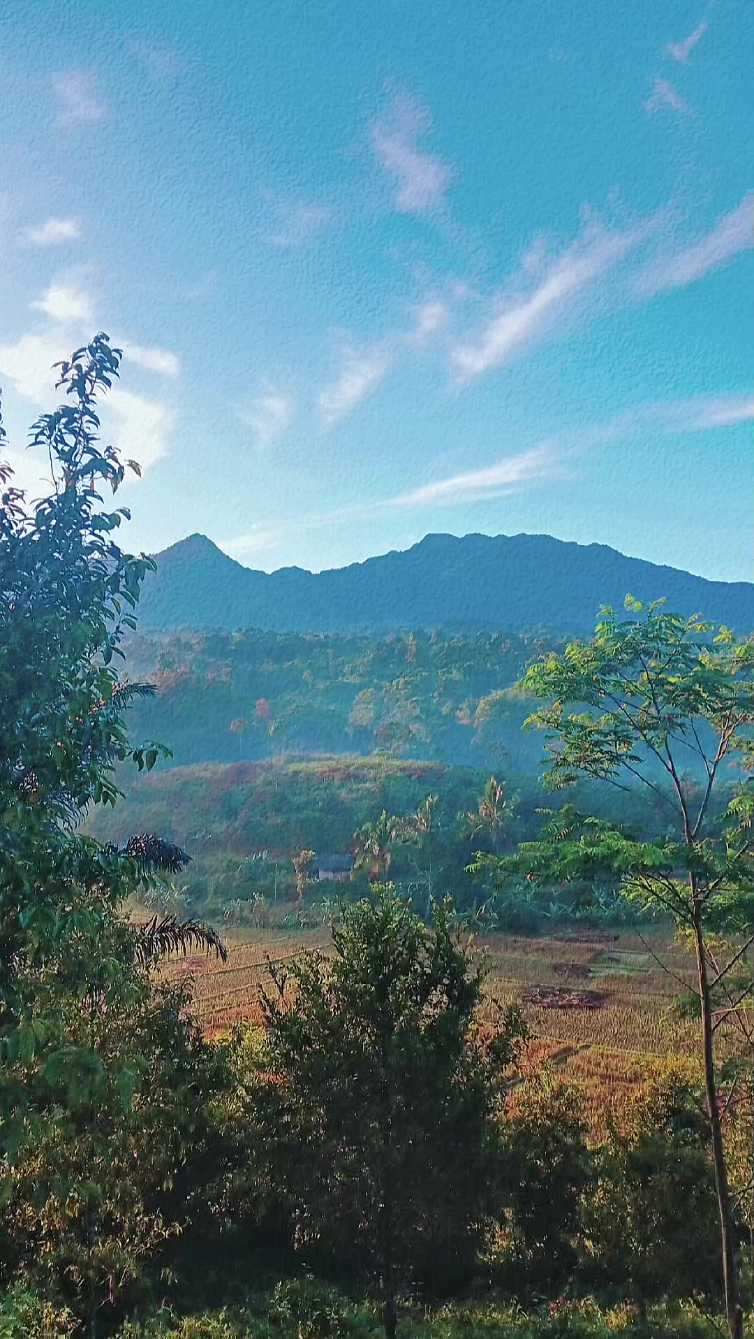 @Bang Kamal