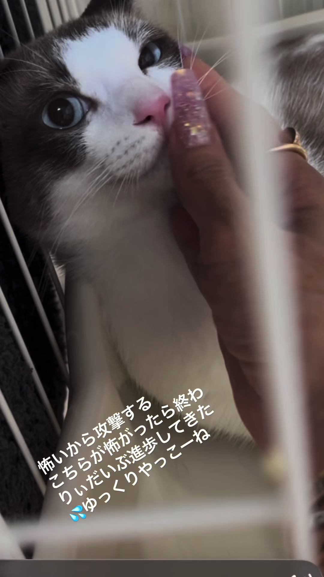 @そぉーちゃん🍷🐈soochan