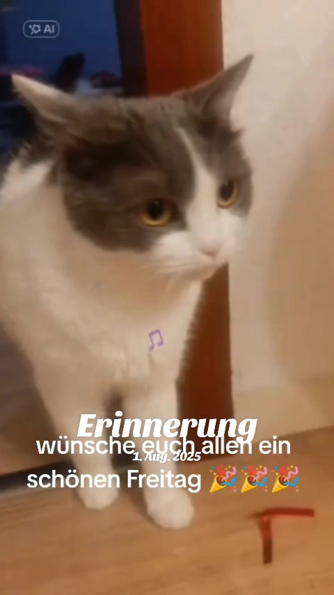 @Pia🐦🔥Teamderphönix🐦🔥