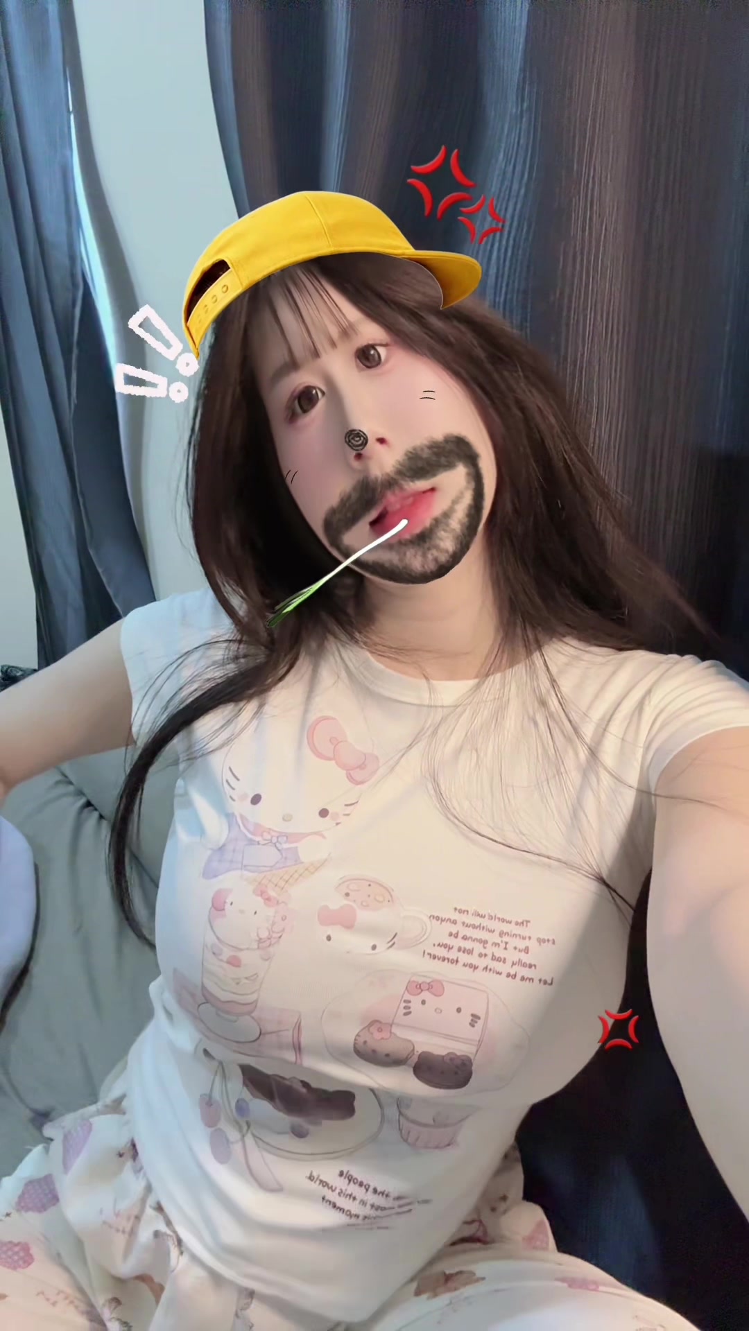 @แมวอ้วน