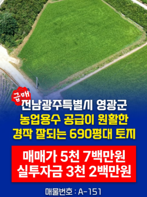 @부동산 전문가 박미란