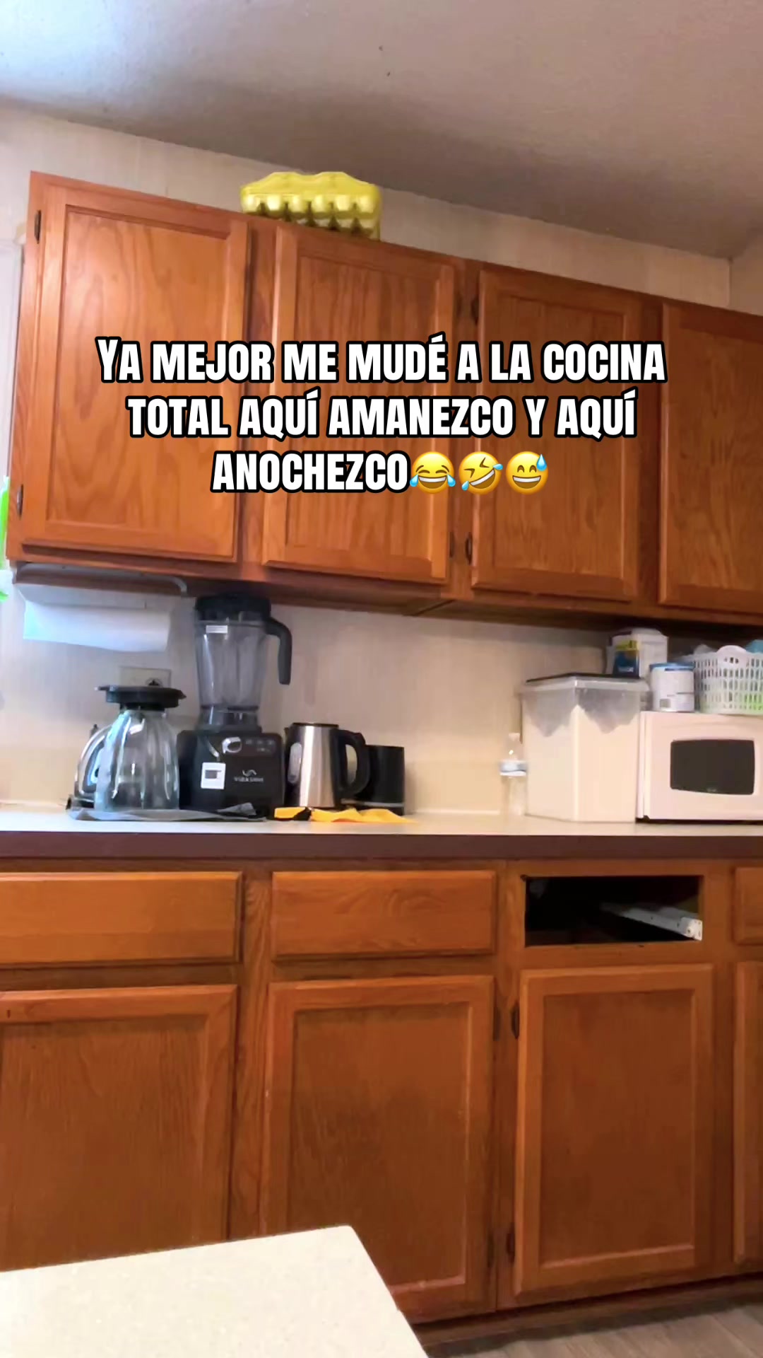 @Nelly Beltran