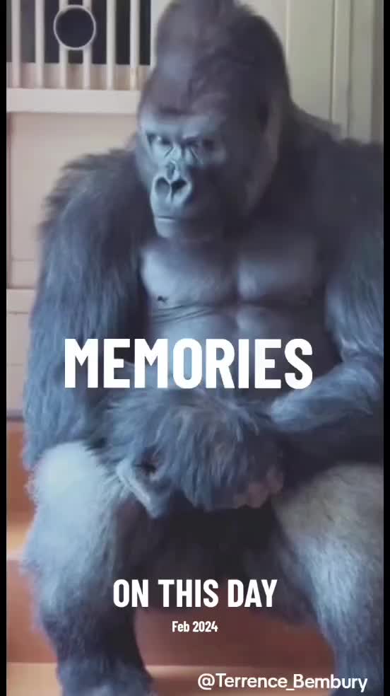 @TERRENCEbembury