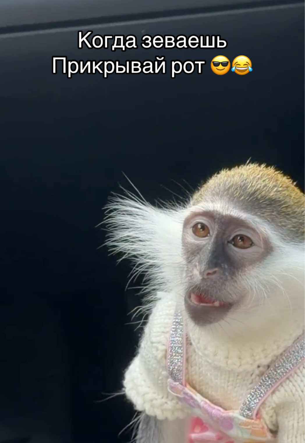 @Наталя Сапельник