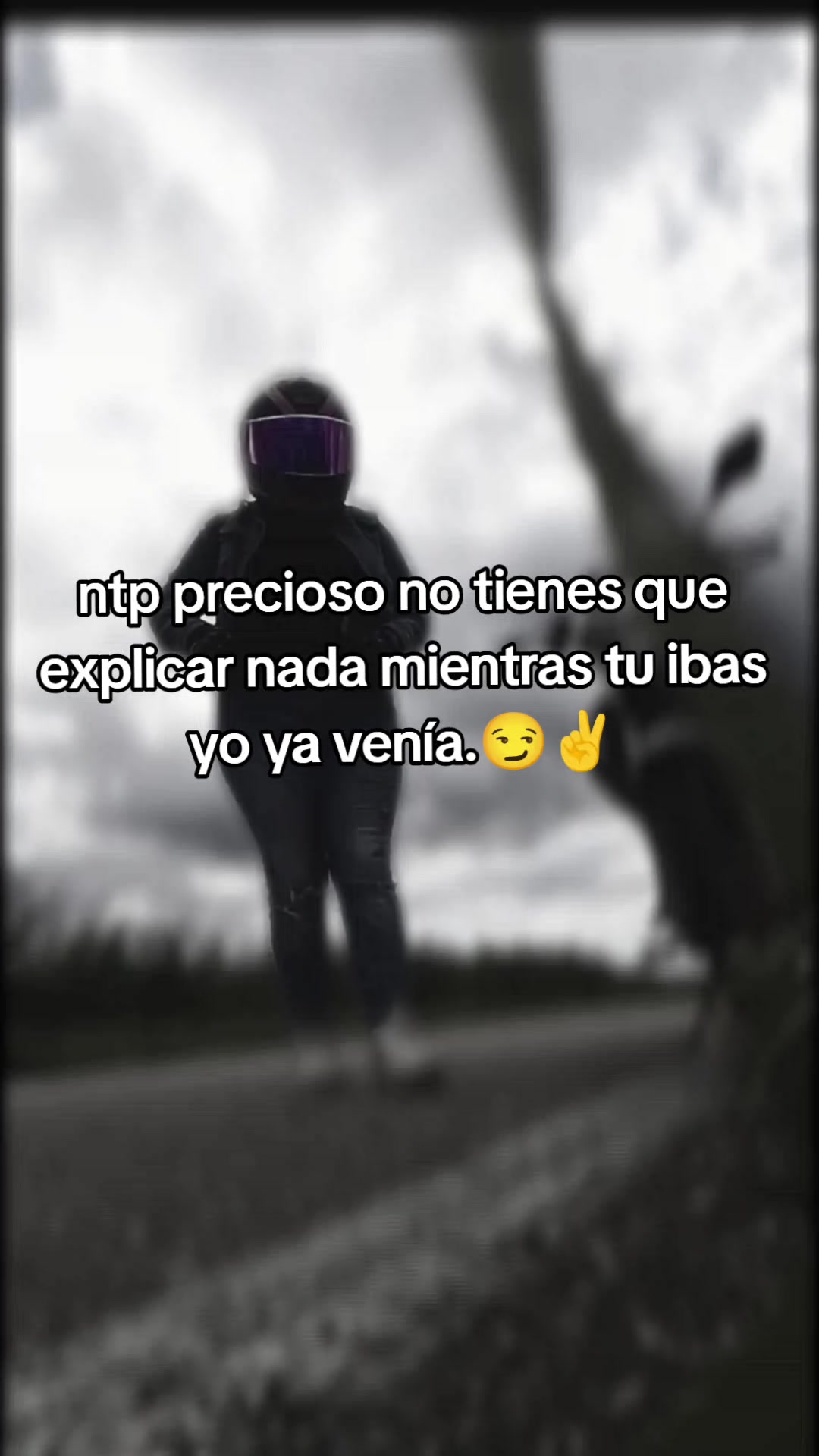 @💐FLOR UITZIL 💗