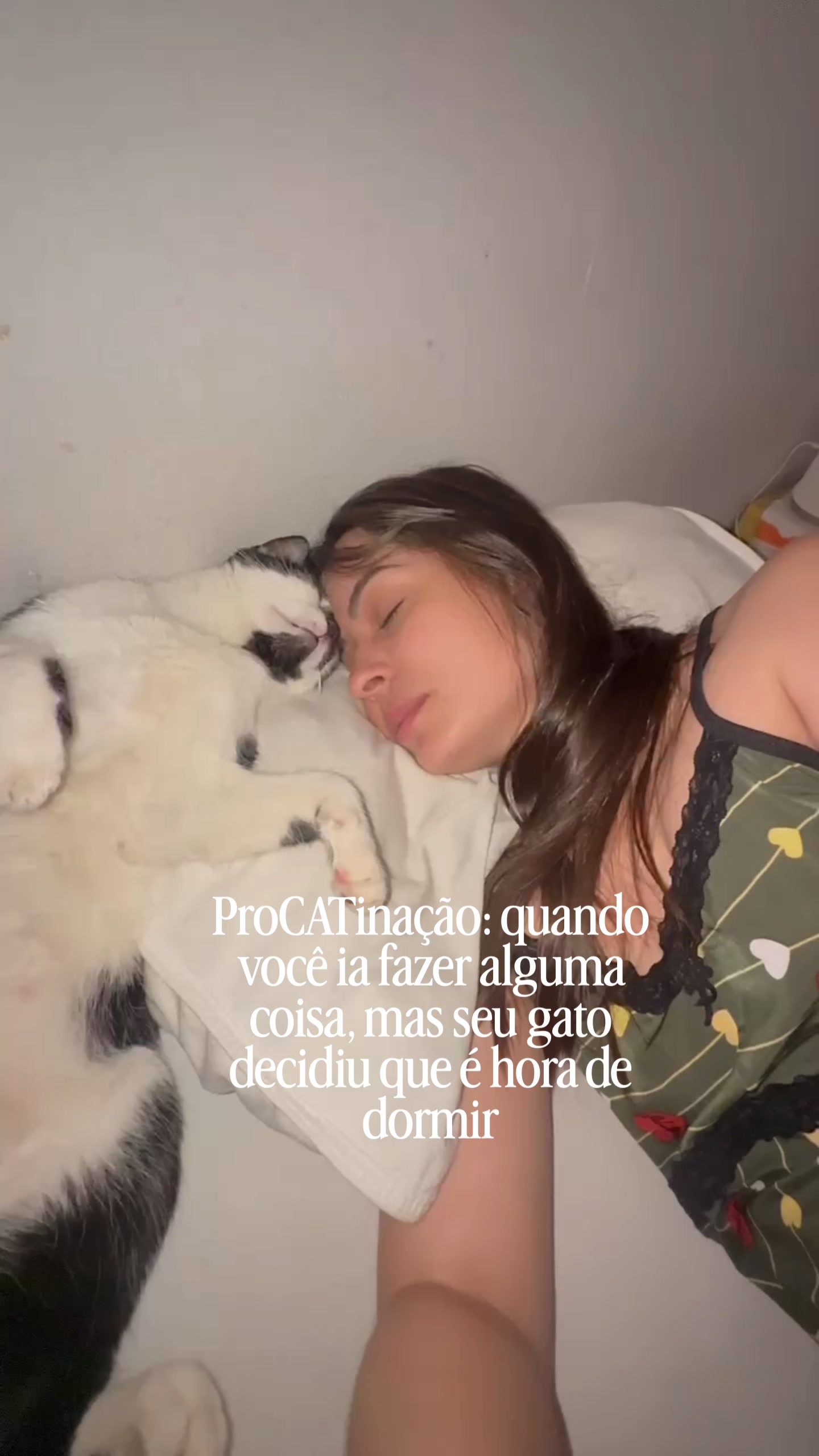 @loheseuspets