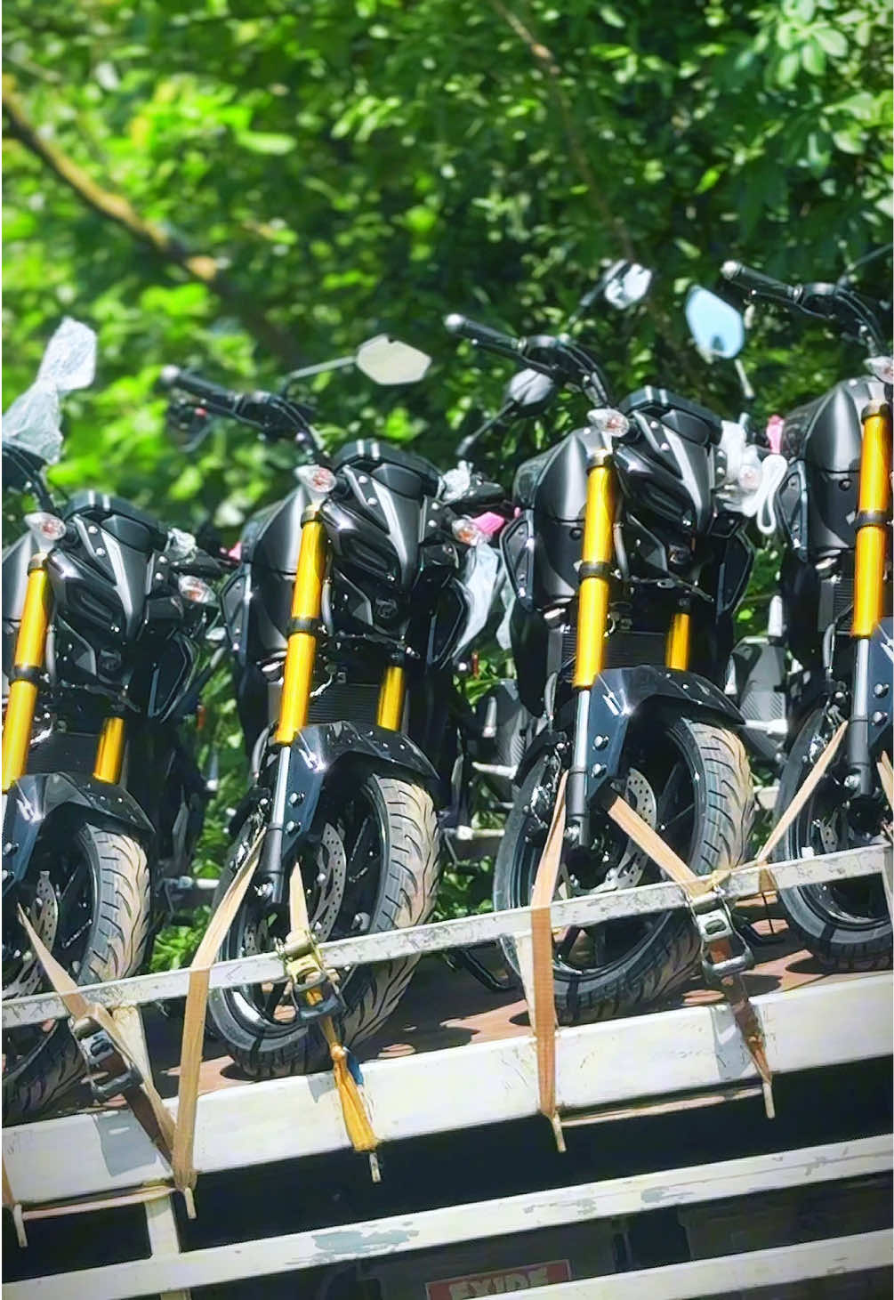 @Ashen Yamaha 🇱🇰