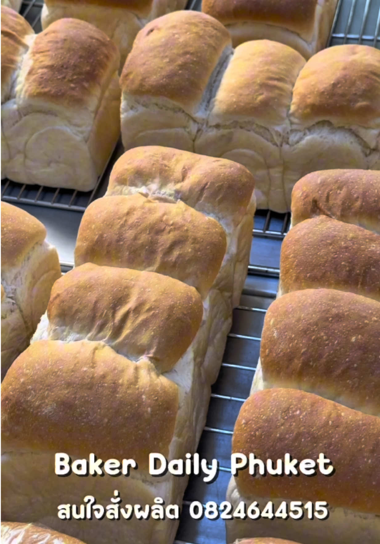 @Baker Daily Phuket