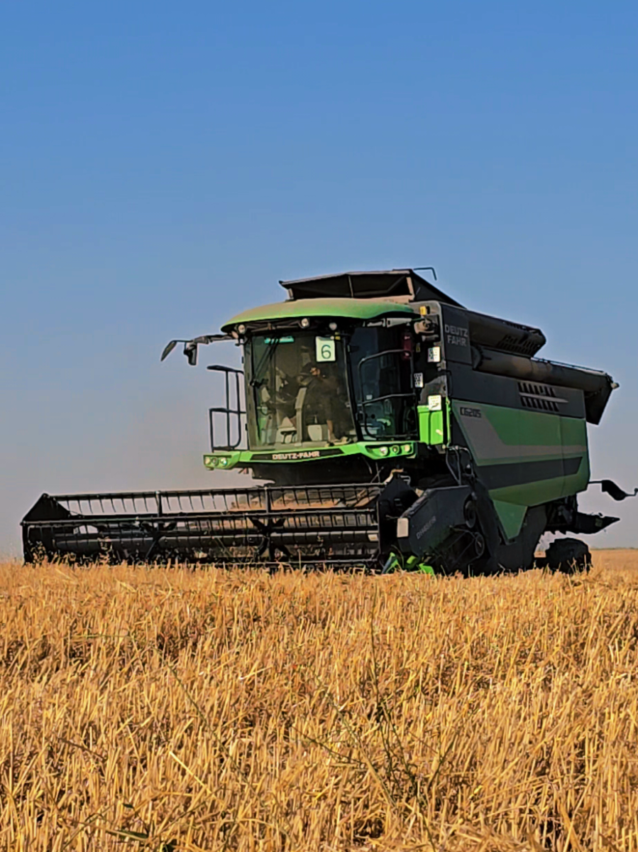 @Farmer ildırım