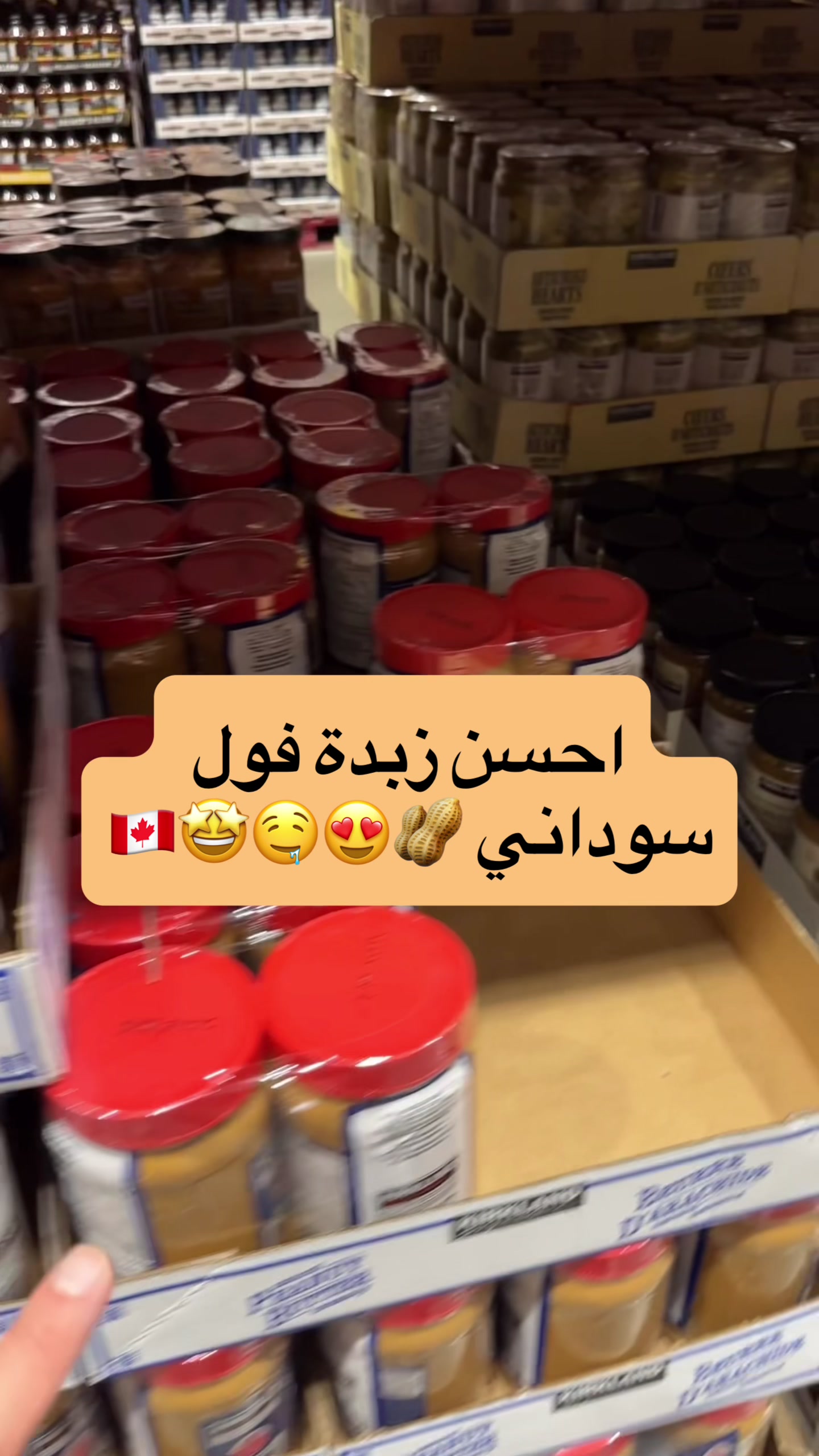 @Mohamad Younes | أبو عمر