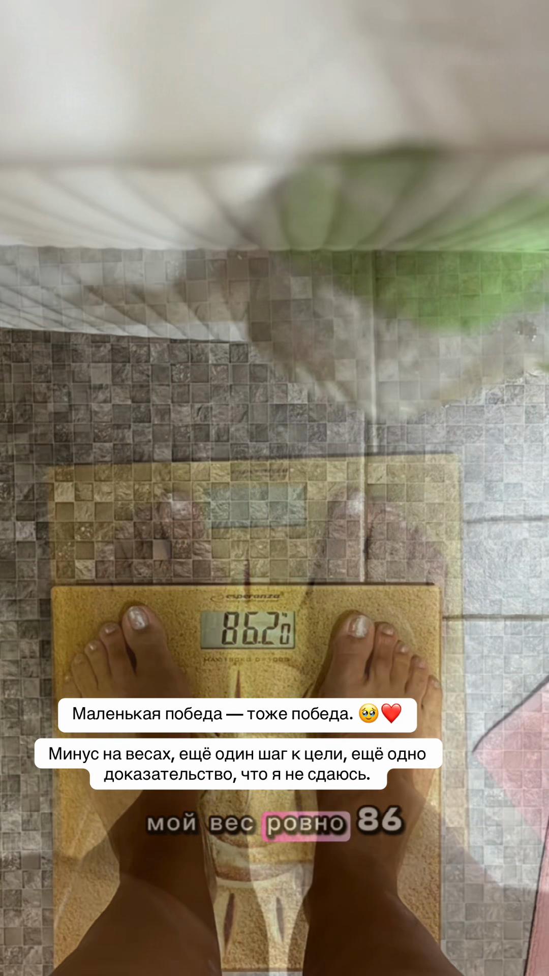 @𝓘𝓻𝓲𝓷𝓪_𝓟𝓻𝓸𝓚𝓮𝓽𝓸🥑