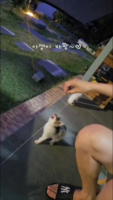 @만두탱이
