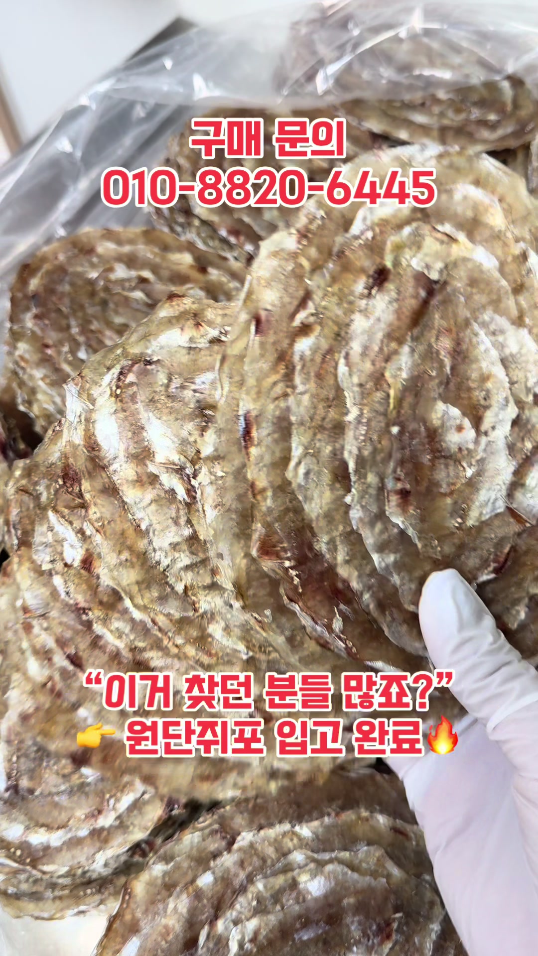 @숭사장(서산마른여자네건어물)🦑