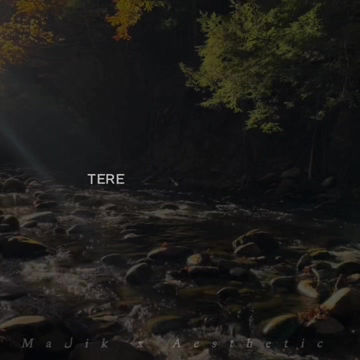 @𝑴𝑨𝑳𝑰𝑲 𝑨𝑬𝑺𝑻𝑰𝑿🎧